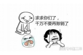 随县如果欠债的人消失了怎么查找，专业讨债公司的找人方法